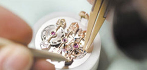 步骤5：专业维护保养